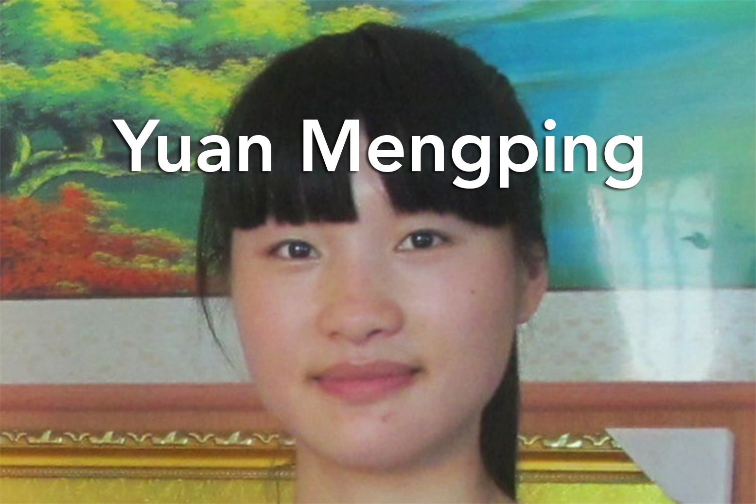 yuan-mengping